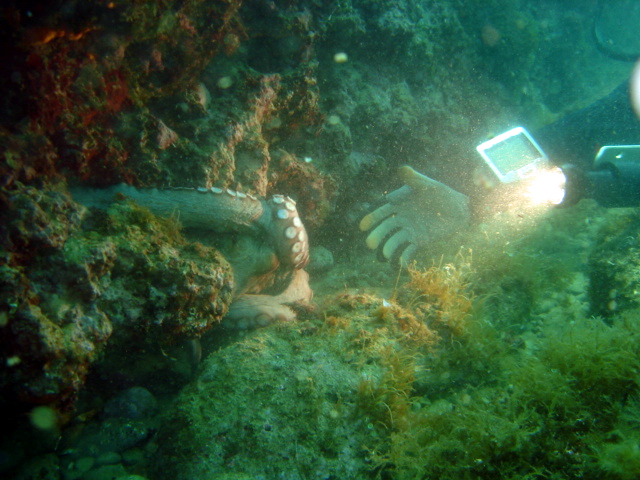 2013-06-14 12-00-38 Steven.JPG